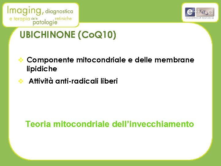 UBICHINONE (Co. Q 10) v Componente mitocondriale e delle membrane lipidiche v Attività anti-radicali