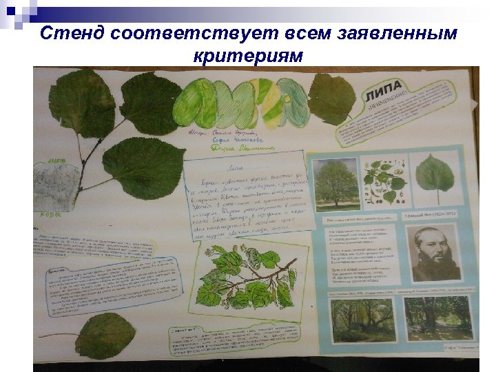 Стенд соответствует всем заявленным критериям 