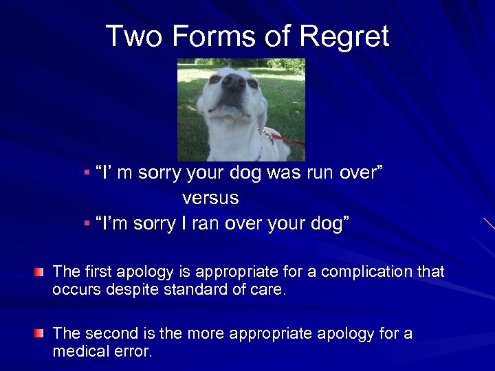 Two Forms of Regret § “I’ m sorry your dog was run over” versus