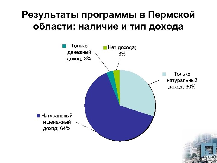Результаты программы в Пермской области: наличие и тип дохода 