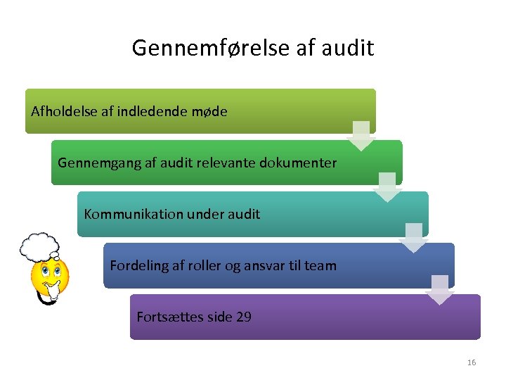 Gennemførelse af audit Afholdelse af indledende møde Gennemgang af audit relevante dokumenter Kommunikation under