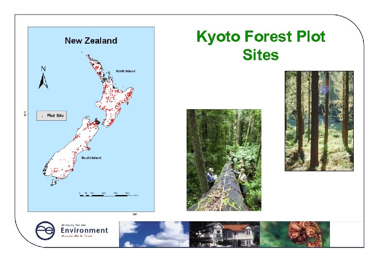 Kyoto Forest Plot Sites 