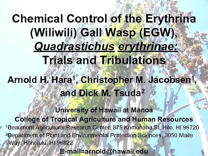 Chemical Control of the Erythrina (Wiliwili) Gall Wasp (EGW), Quadrastichus erythrinae: Trials and Tribulations