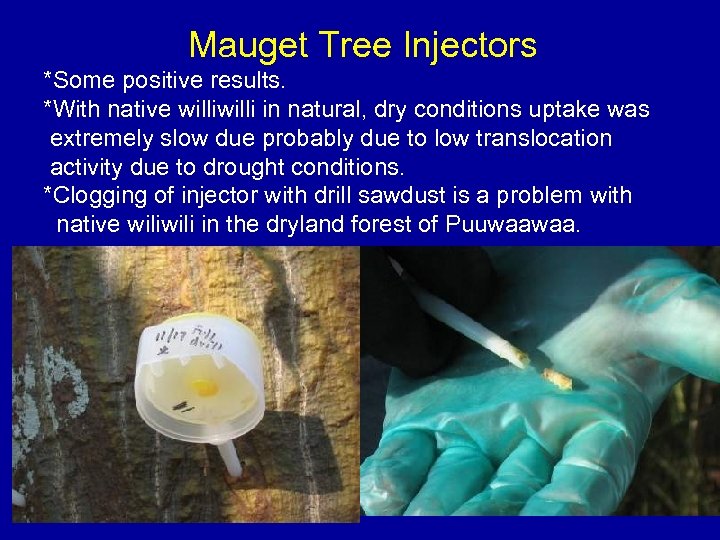 Mauget Tree Injectors *Some positive results. *With native willi in natural, dry conditions uptake