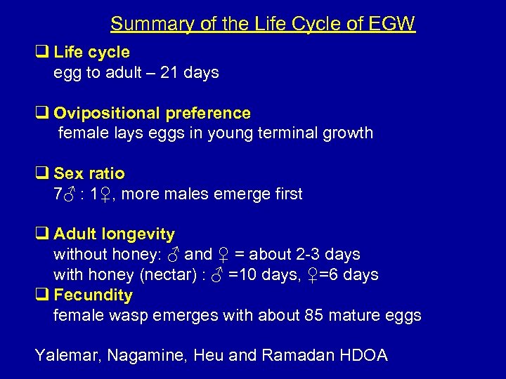 Summary of the Life Cycle of EGW q Life cycle egg to adult –