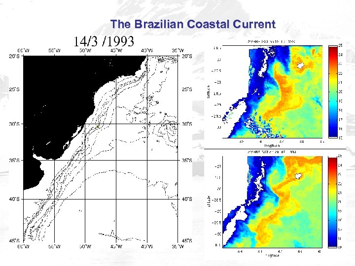 The Brazilian Coastal Current 