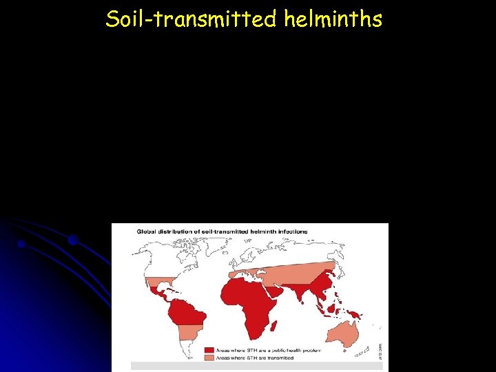 Soil-transmitted helminths 