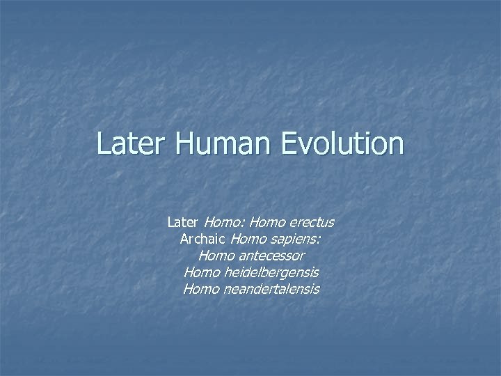 Later Human Evolution Later Homo: Homo erectus Archaic Homo sapiens: Homo antecessor Homo heidelbergensis