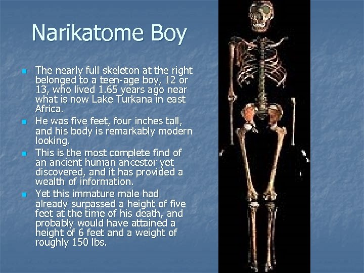 Narikatome Boy n n The nearly full skeleton at the right belonged to a