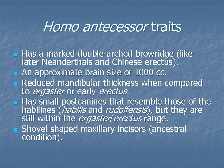 Homo antecessor traits n n n Has a marked double-arched browridge (like later Neanderthals