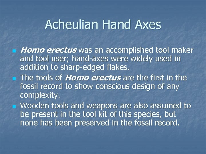 Acheulian Hand Axes n n n Homo erectus was an accomplished tool maker and