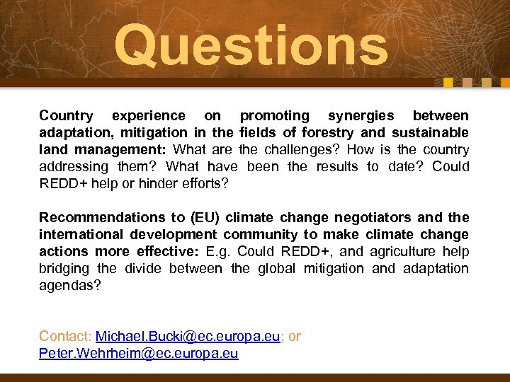 Questions Country experience on promoting synergies between adaptation, mitigation in the fields of forestry