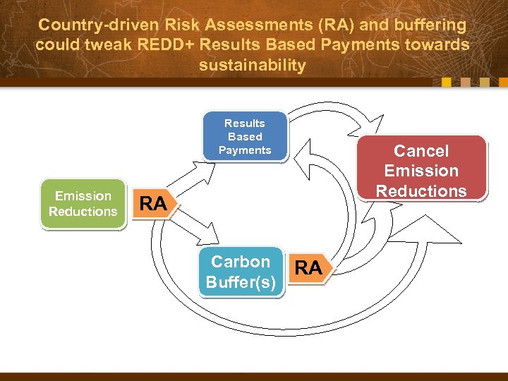 Country-driven Risk Assessments (RA) and buffering could tweak REDD+ Results Based Payments towards sustainability