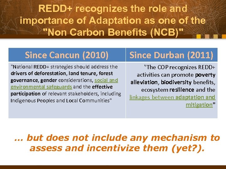 REDD+ recognizes the role and importance of Adaptation as one of the "Non Carbon