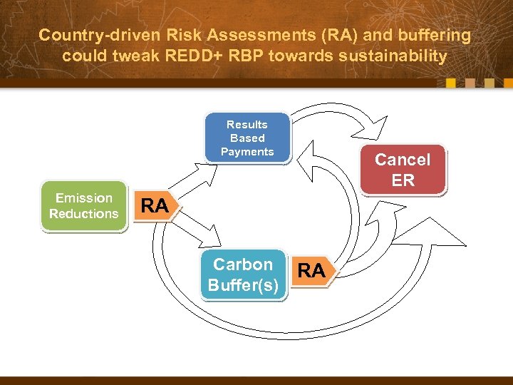 Country-driven Risk Assessments (RA) and buffering could tweak REDD+ RBP towards sustainability Results Based