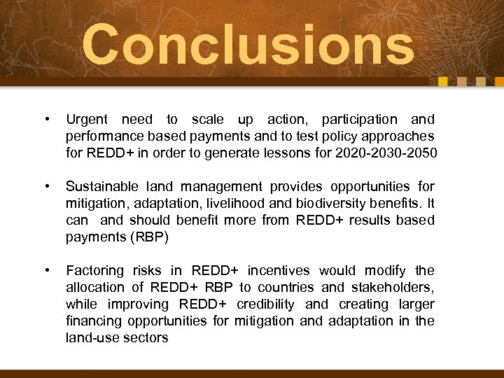 Conclusions • Urgent need to scale up action, participation and performance based payments and