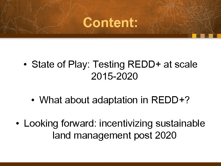 Content: • State of Play: Testing REDD+ at scale 2015 -2020 • What about