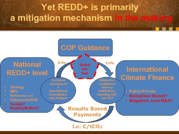 Yet REDD+ is primarily a mitigation mechanism in the making COP Guidance National REDD+