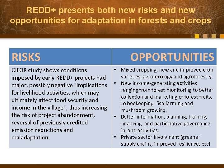 REDD+ presents both new risks and new opportunities for adaptation in forests and crops