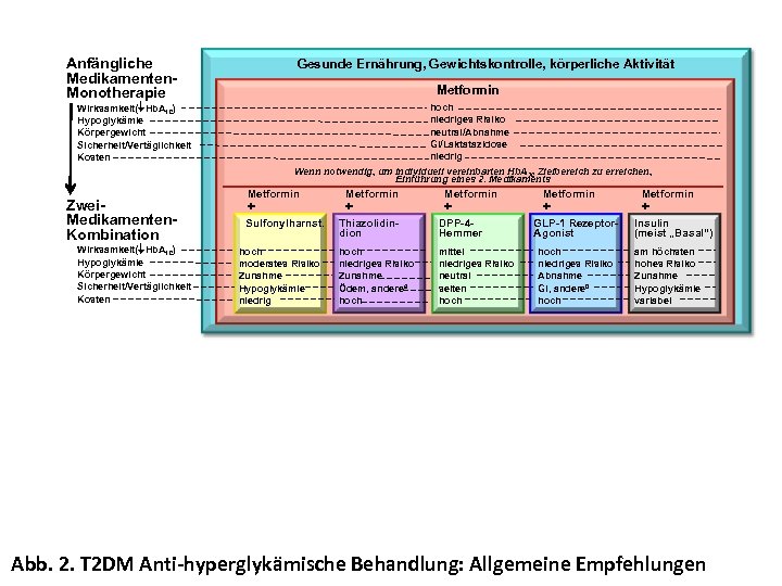 Anfängliche Medikamenten. Monotherapie Gesunde Ernährung, Gewichtskontrolle, körperliche Aktivität Metformin hoch niedriges Risiko neutral/Abnahme GI/Laktatazidose