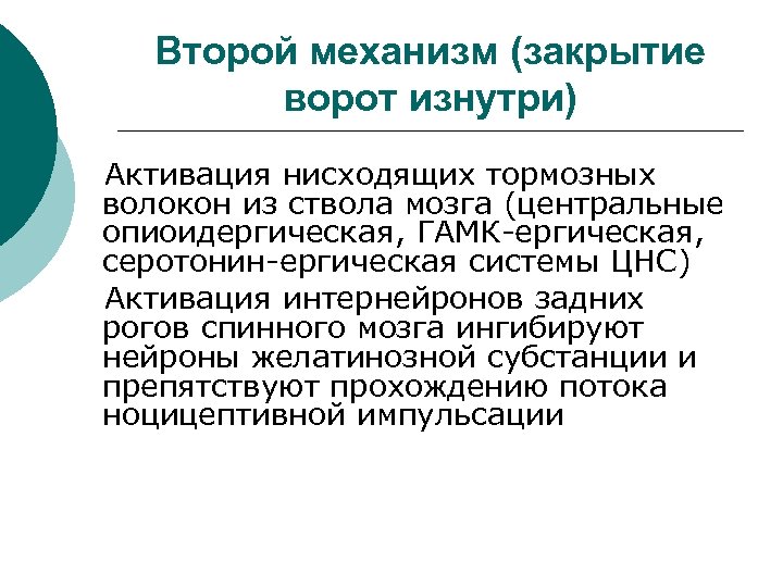 Второй механизм (закрытие ворот изнутри) Активация нисходящих тормозных волокон из ствола мозга (центральные опиоидергическая,
