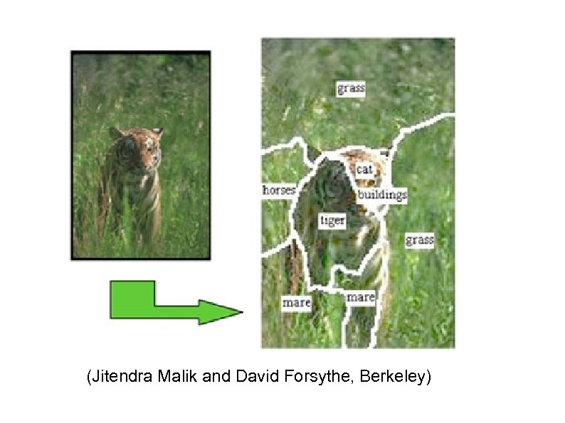 (Jitendra Malik and David Forsythe, Berkeley) 