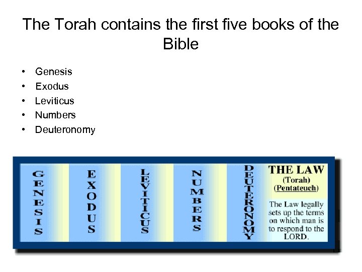 The Torah contains the first five books of the Bible • • • Genesis