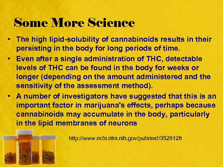 Some More Science • The high lipid-solubility of cannabinoids results in their persisting in