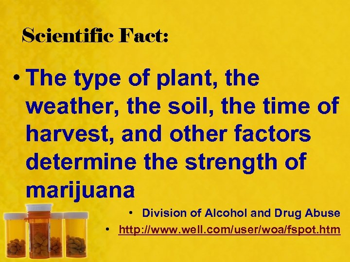 Scientific Fact: • The type of plant, the weather, the soil, the time of