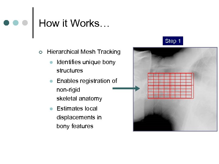 How it Works… Step 1 Step 2 Step 3 ¢ Hierarchical Mesh Tracking l