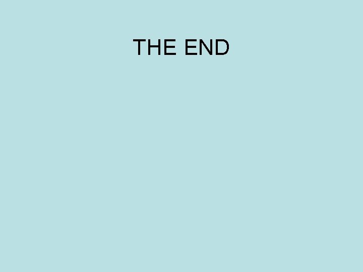 THE END 