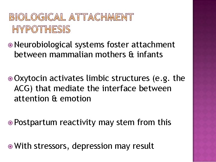  Neurobiological systems foster attachment between mammalian mothers & infants Oxytocin activates limbic structures