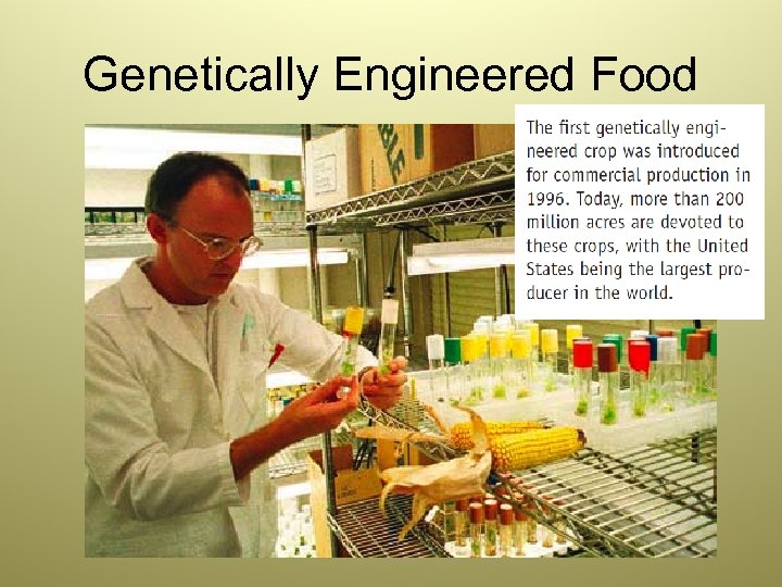 Genetically Engineered Food 