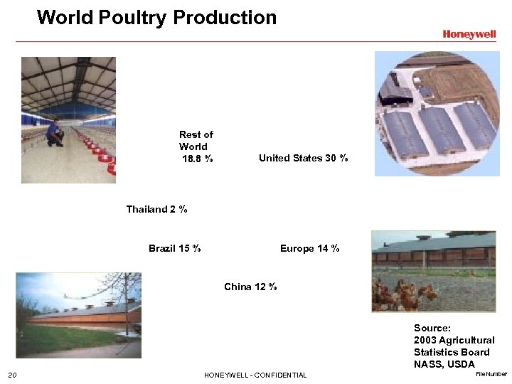 World Poultry Production Rest of World 18. 8 % United States 30 % Thailand