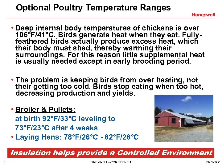 Optional Poultry Temperature Ranges • Deep internal body temperatures of chickens is over 106°F/41°C.