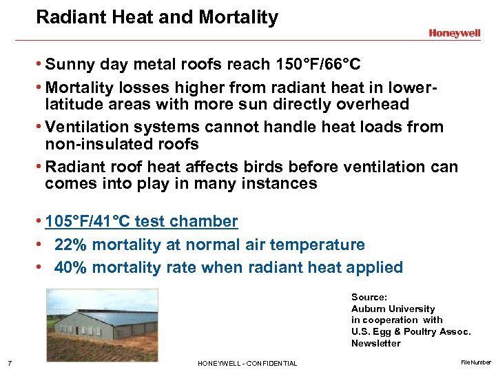 Radiant Heat and Mortality • Sunny day metal roofs reach 150°F/66°C • Mortality losses