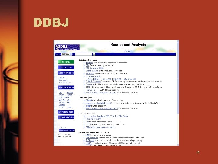 DDBJ 10 