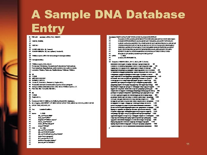 A Sample DNA Database Entry ID TRBG 361 standard; m. RNA; PLN; 1859 BP.