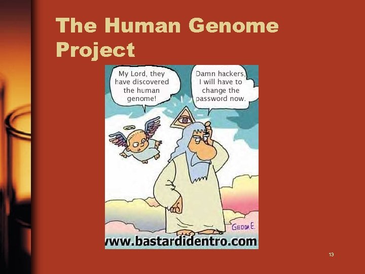 The Human Genome Project 13 