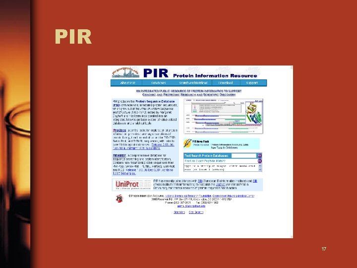 PIR 17 