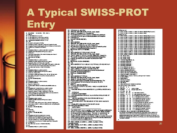 A Typical SWISS-PROT Entry ID AC DT DT DT DE GN OS OC OC