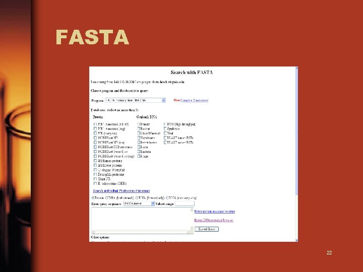 FASTA 22 