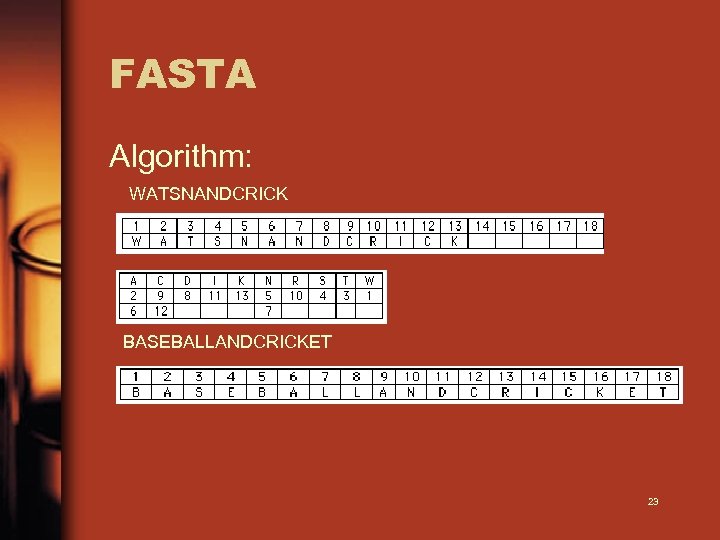 FASTA Algorithm: WATSNANDCRICK BASEBALLANDCRICKET 23 