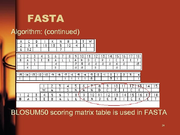 FASTA Algorithm: (continued) BLOSUM 50 scoring matrix table is used in FASTA 24 