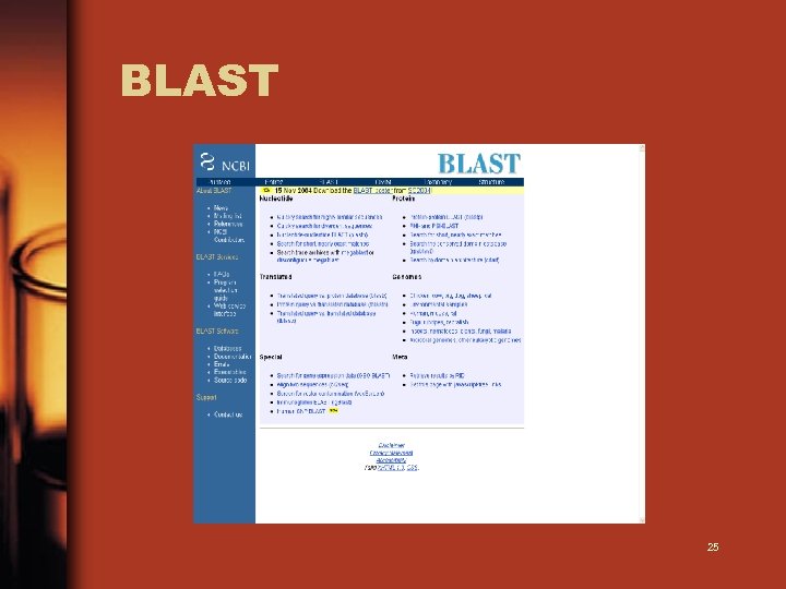 BLAST 25 