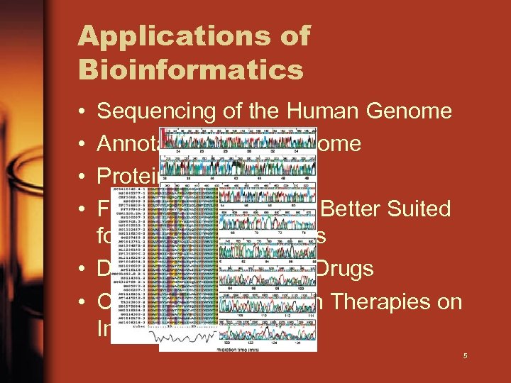 Applications of Bioinformatics • • Sequencing of the Human Genome Annotation of the Genome