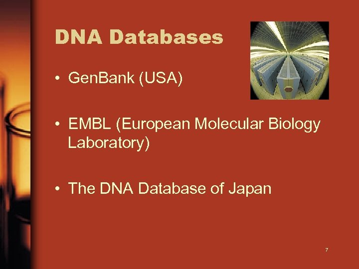 DNA Databases • Gen. Bank (USA) • EMBL (European Molecular Biology Laboratory) • The