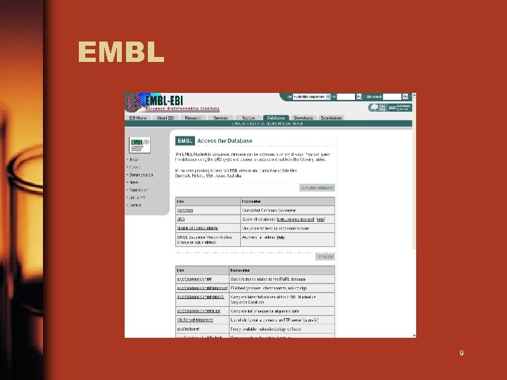 EMBL 9 