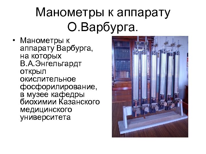 Манометры к аппарату О. Варбурга. • Манометры к аппарату Варбурга, на которых В. А.