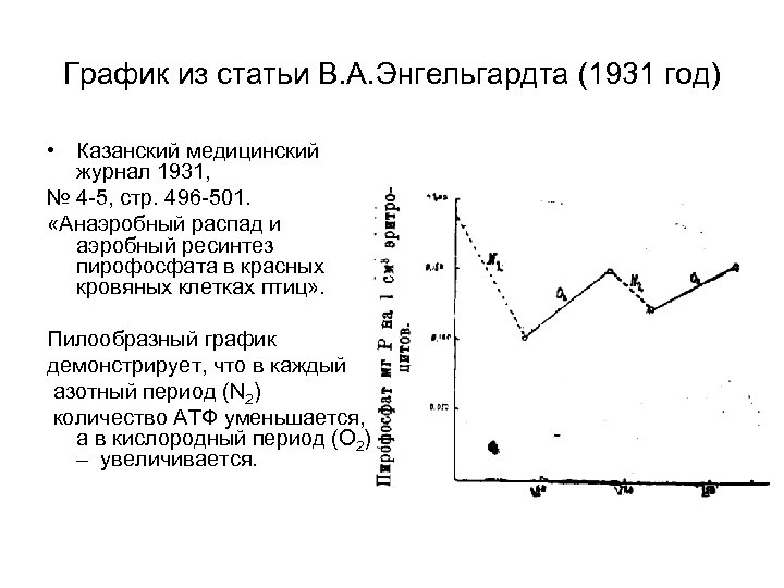 График из статьи В. А. Энгельгардта (1931 год) • Казанский медицинский журнал 1931, №